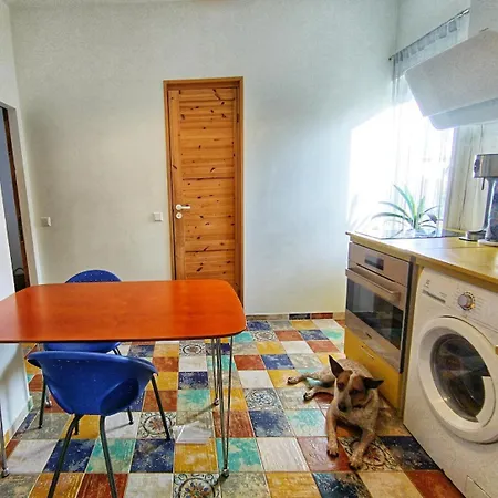Veeriku Garden House * タルトゥ